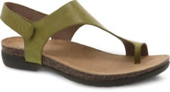 'Dansko' Women's Reece - Cactus Waxy Burnished -Dansko Shop 6024285300 1024x1024@2x